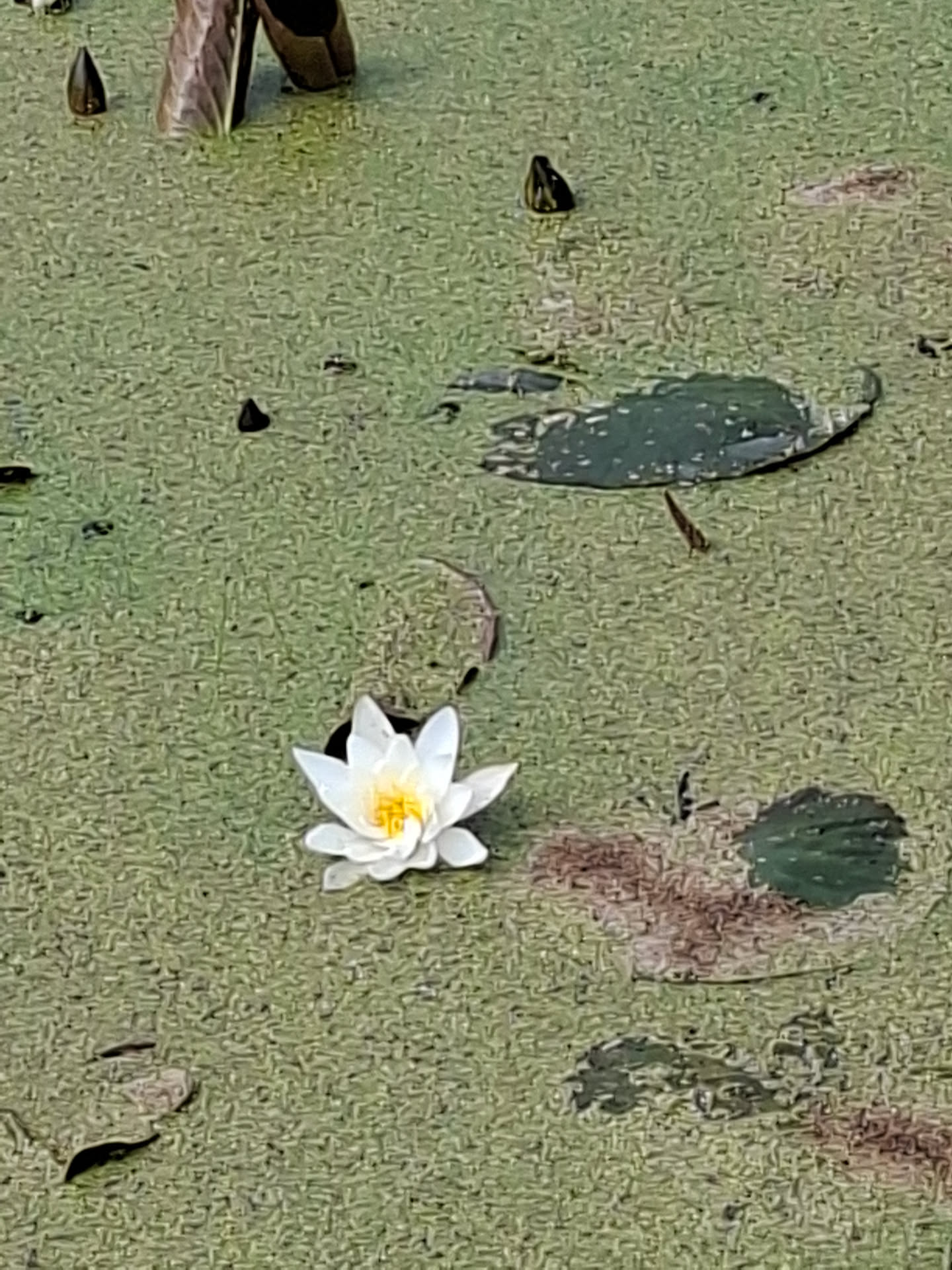 20260620_114200.jpg