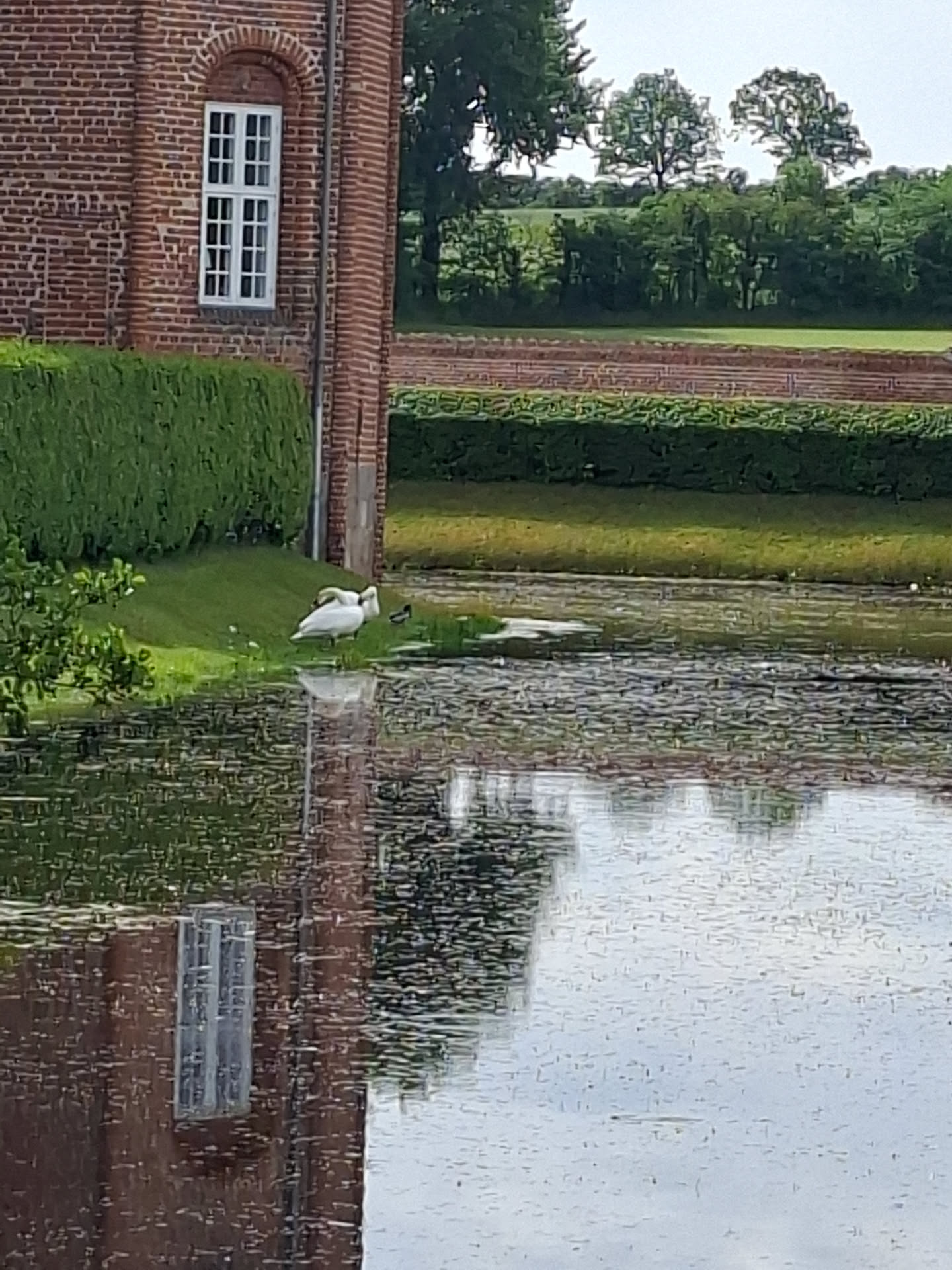 20260620_114404.jpg