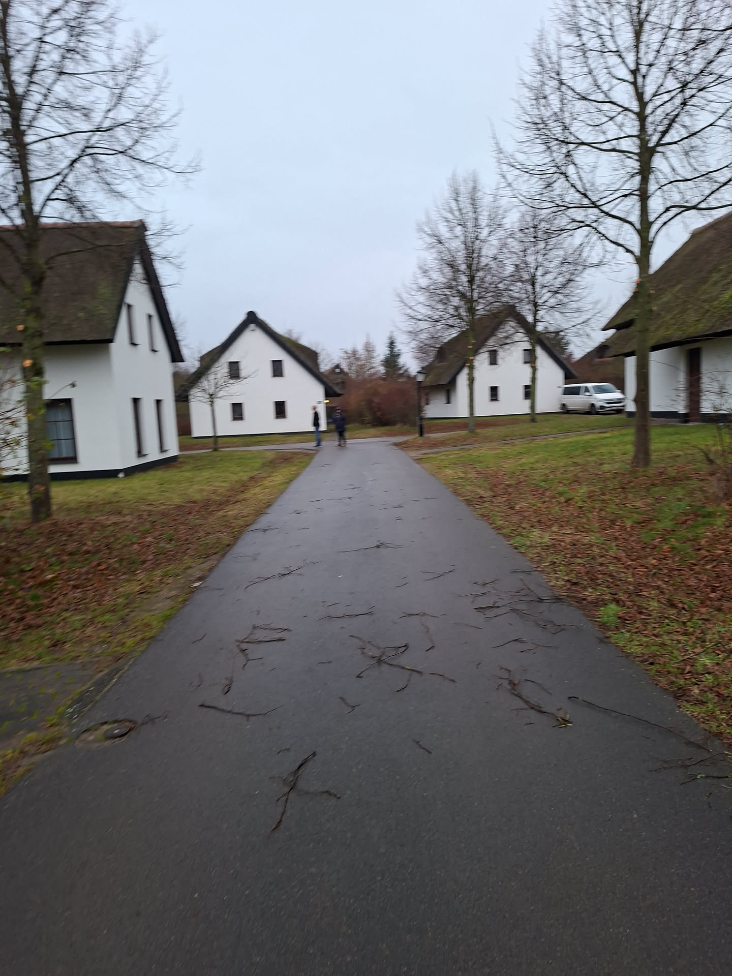 20251130_085029.jpg